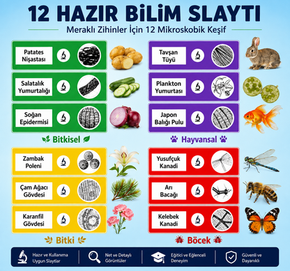 MiniBilim Dijital Mikroskop 🔬 – Çocuklar İçin 2.4” LCD Ekranlı Taşınabilir Keşif Mikroskobu